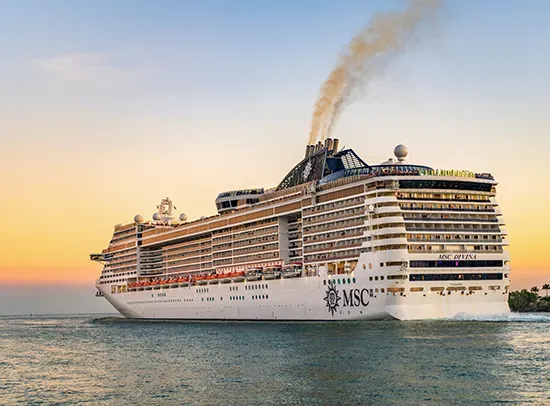 Msc-Divina-tn.webp